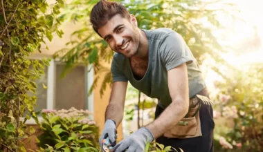 10 best garden edging tools