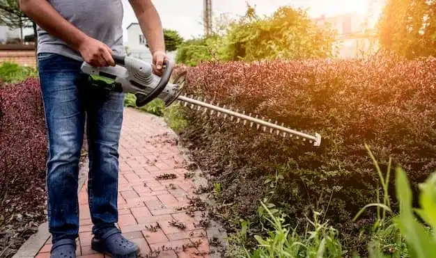 Gardener Trimming Shrub With Hedge Trimmer Best Garden Edging Tools