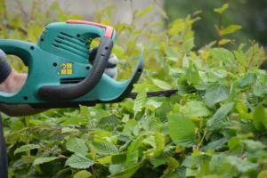 hedge trimmer Garden Cutting Tool Names uses