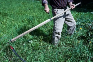 man with rakes Types of garden cutting tools and name