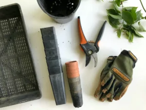 Gloves and shears on table- The best garden cutting tools names