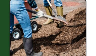 How to properly use a shovel for effective garden work