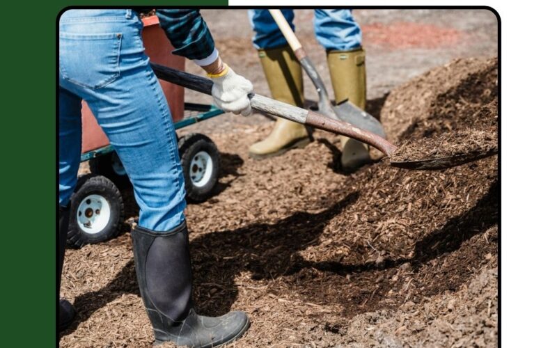 How to properly use a shovel for effective garden work