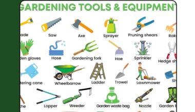 Introduction to gardening tools