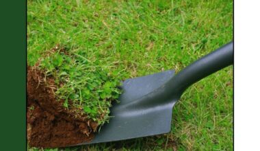 How to dig up grass with a shovel