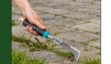 Best patio stone weed tool