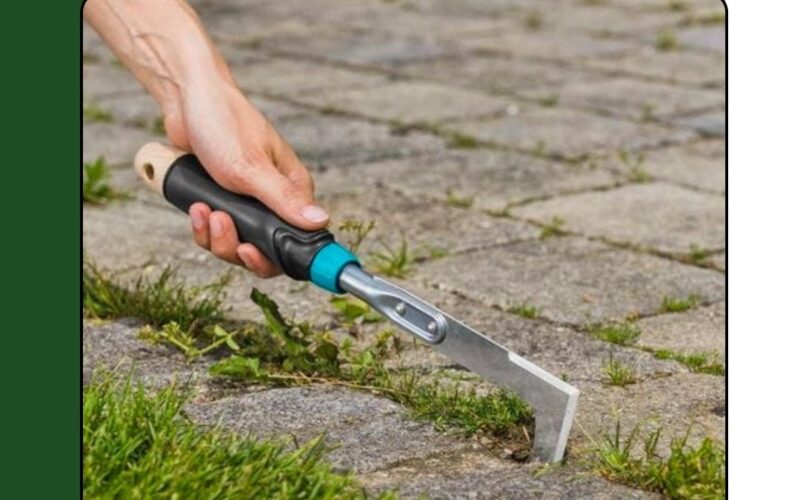 Best patio stone weed tool