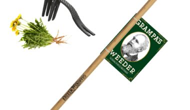 Best weed digger with long handle for your garden works