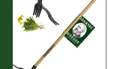 Best weeder with long handle