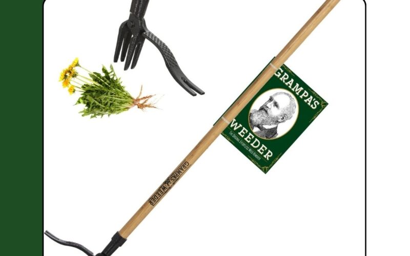 Best weeder with long handle