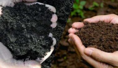 soil conditioner vs compost