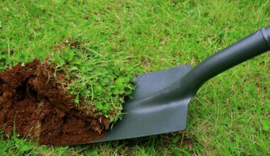 How to dig up grass with a shovel