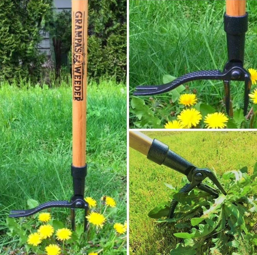 Weed digger with long handle for easy gardening