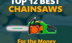 Top 12 Best Chainsaws for the Money