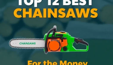 Top 12 Best Chainsaws for the Money