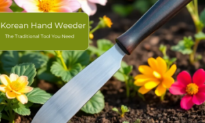 Korean Hand Weeder