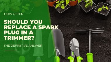 How Often Should You Replace a Spark Plug in a Trimmer?