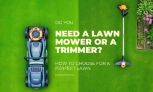 Do You Need a Lawn Mower or a Trimmer?