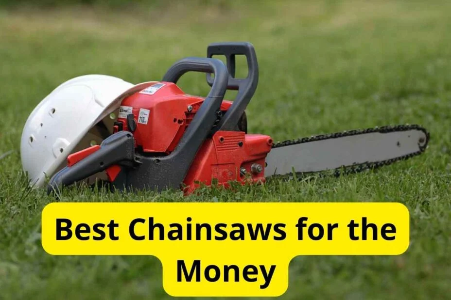 Top 12 Best Chainsaws for the Money