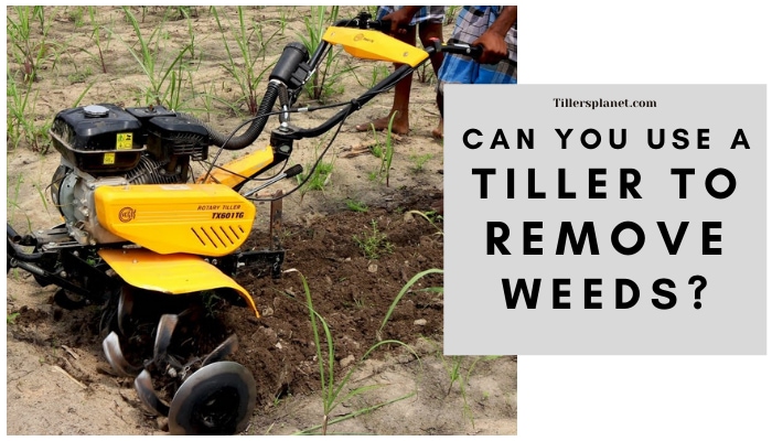 Can You Use a Tiller to Remove Weeds