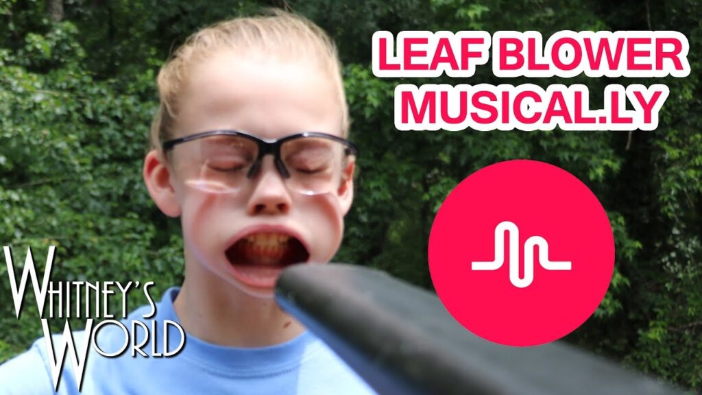 Fun and Creative Things You Can Do With Your Leaf Blower : Music with Leaf Blower